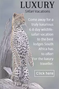 LUXURY 5 Star Kruger Park Safari Vacations